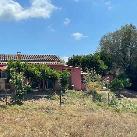 Ferienwohnung Nuit Calme Sur Domaine Calcatoggio  Exterior foto