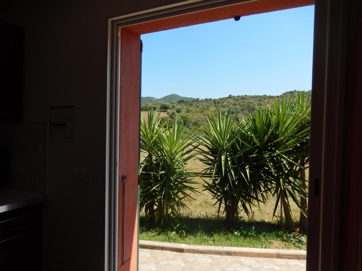 Ferienwohnung Nuit Calme Sur Domaine Calcatoggio  Exterior foto