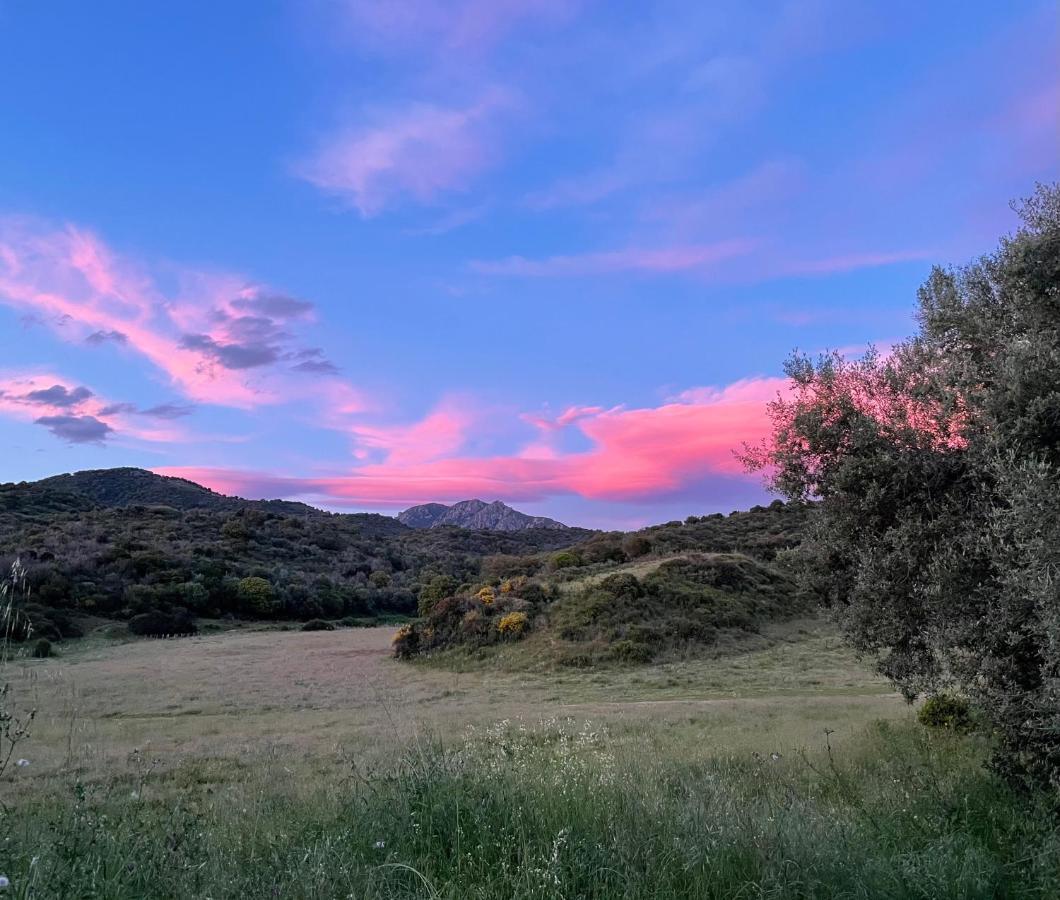 Ferienwohnung Nuit Calme Sur Domaine Calcatoggio  Exterior foto