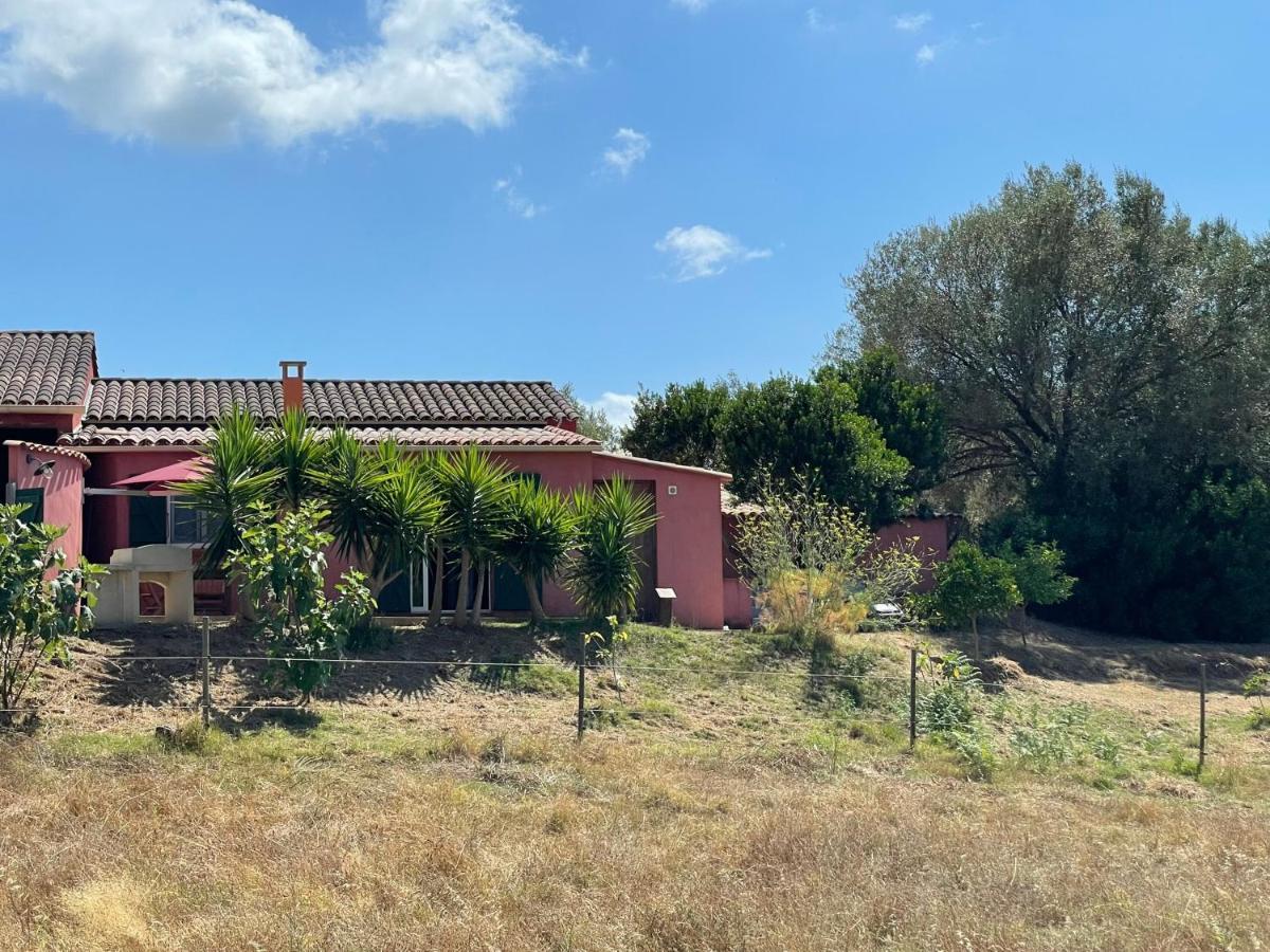 Ferienwohnung Nuit Calme Sur Domaine Calcatoggio  Exterior foto