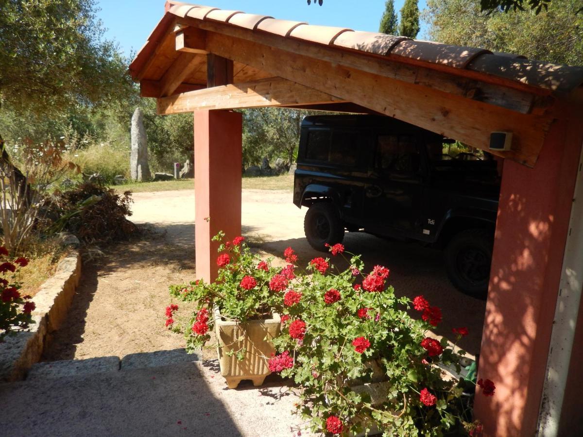 Ferienwohnung Nuit Calme Sur Domaine Calcatoggio  Exterior foto