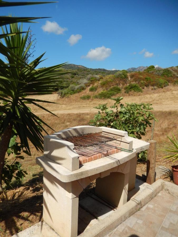 Ferienwohnung Nuit Calme Sur Domaine Calcatoggio  Exterior foto