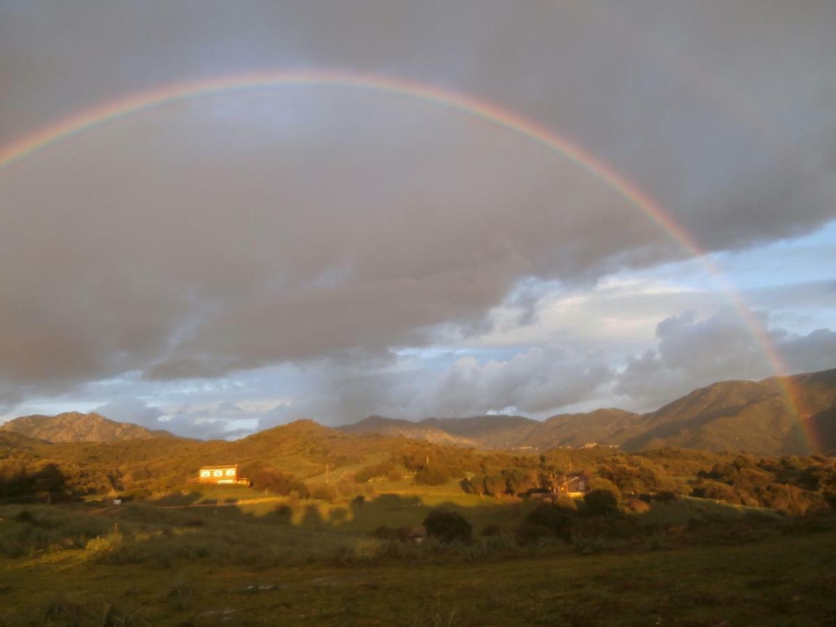 Ferienwohnung Nuit Calme Sur Domaine Calcatoggio  Exterior foto